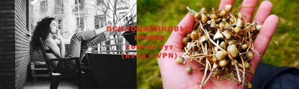 jwh Новокубанск