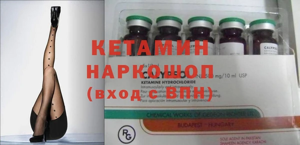 ешки Новодвинск