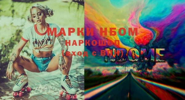 стафф Новозыбков