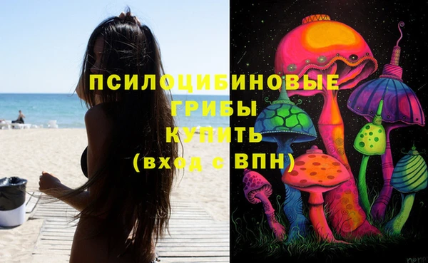 ГАЛЛЮЦИНОГЕННЫЕ ГРИБЫ Нефтегорск