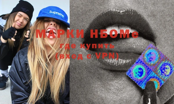 стафф Новозыбков
