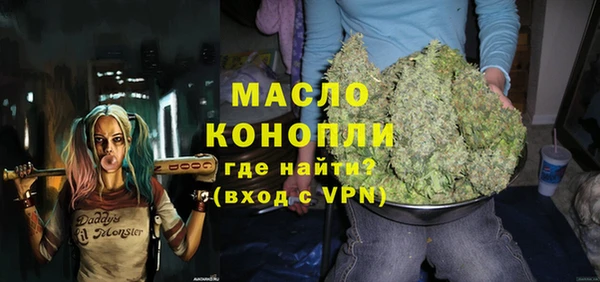 дмт Болотное