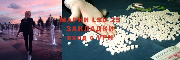 стафф Новозыбков