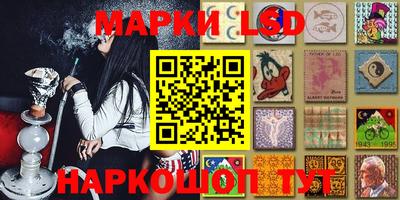 прущие грибы Азнакаево