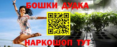 соль ск Будённовск