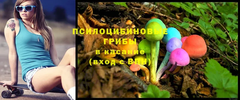 купить  цена  Зеленокумск  Псилоцибиновые грибы Psilocybe 