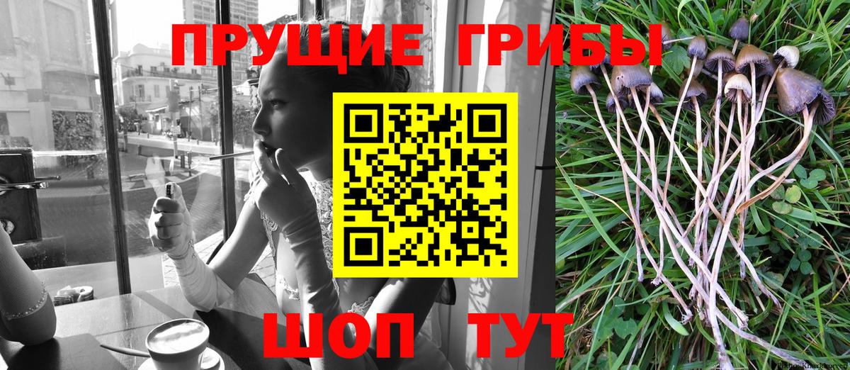 МЕФ  Бошки Шишки  МЕФ кристаллы  Зеленокумск  Вход с VPN  ТГК  НБОМе  Каннабис  Экстази 